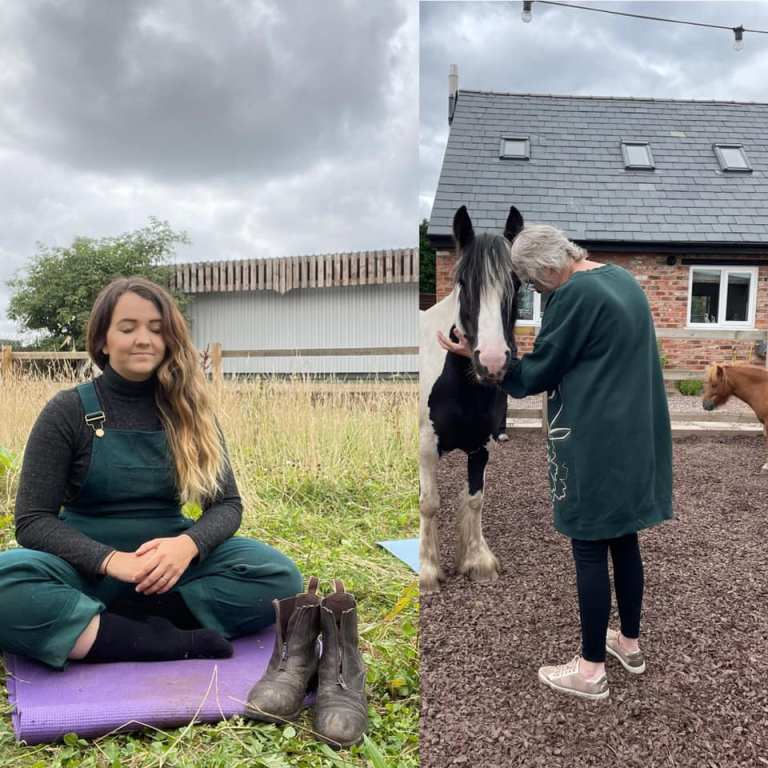 Miriam Ritter Service List – Healing with Horses UK